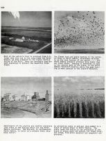 Red River Valley, Duck and Goose hunting, Country Elevators, Wheat Fields
